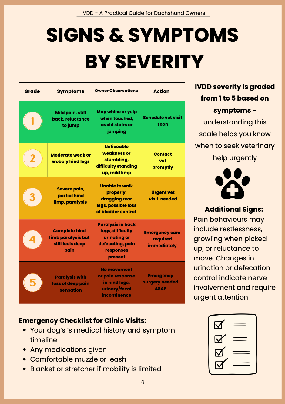 IVDD: A Practical Guide for Dachshund Owners